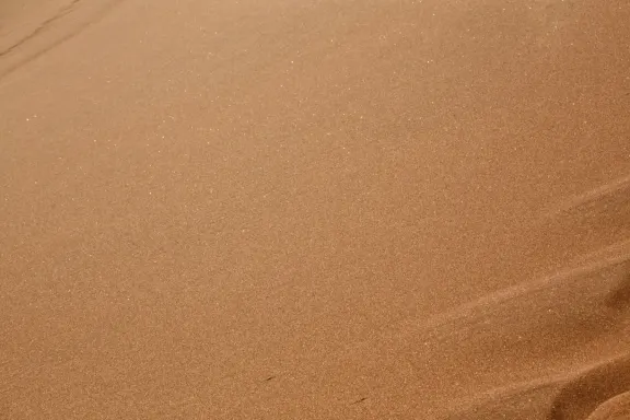 Casino Bingo Millionaire Tacaíocht